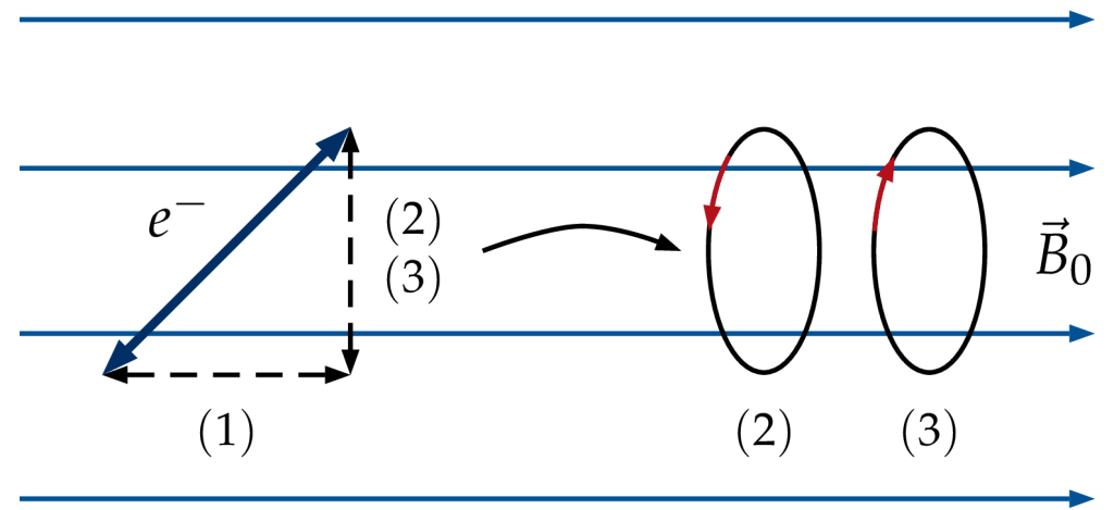 Abb. 1: Klassische Erklärung der Aufspaltung beim normalen Zeeman-Effekt